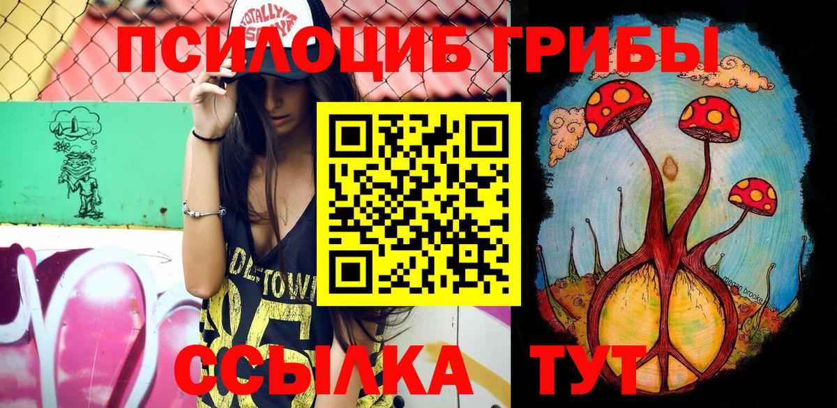 Псилоцибиновые грибы Psilocybe Петрозаводск